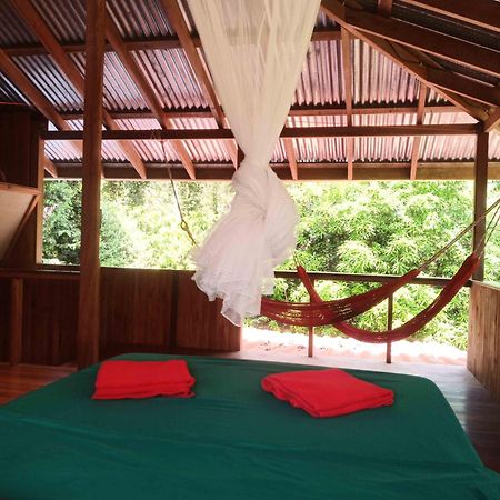 Corcovado Guest House Drake Bay ภายนอก รูปภาพ