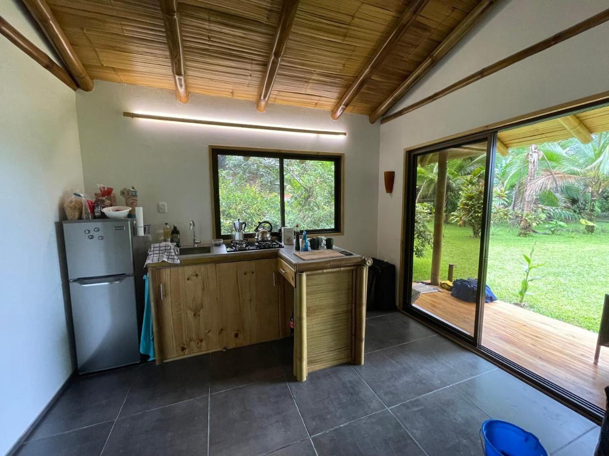 Corcovado Guest House Drake Bay ภายนอก รูปภาพ