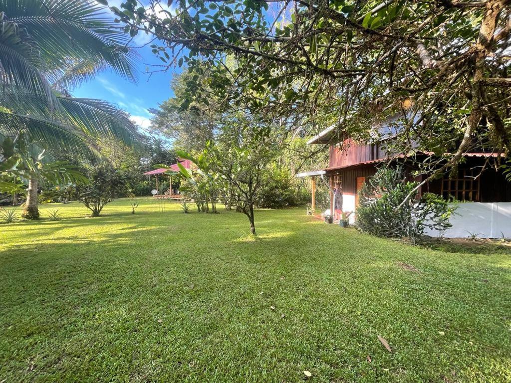 Corcovado Guest House Drake Bay ภายนอก รูปภาพ
