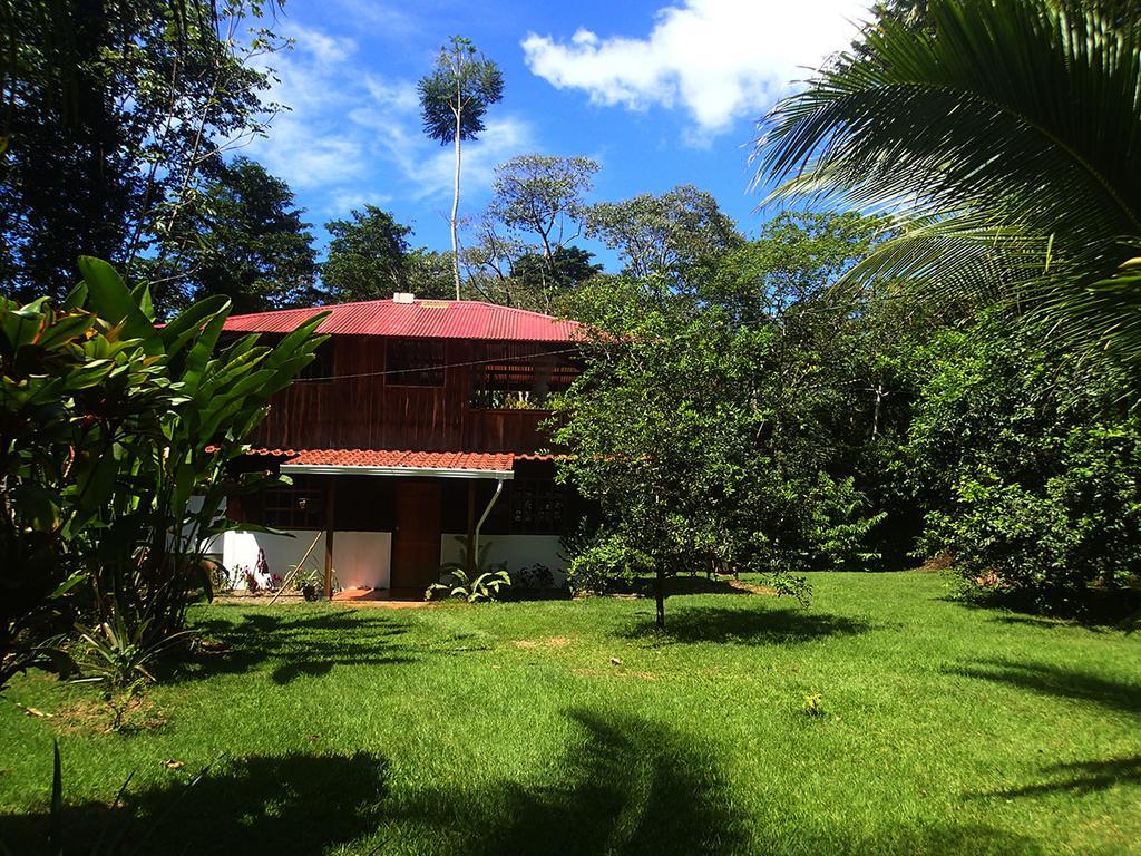 Corcovado Guest House Drake Bay ภายนอก รูปภาพ
